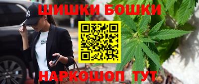 ешки Камышлов