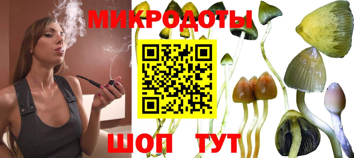 Галлюциногенные грибы прущие грибы  Вход с VPN  Конаково 
